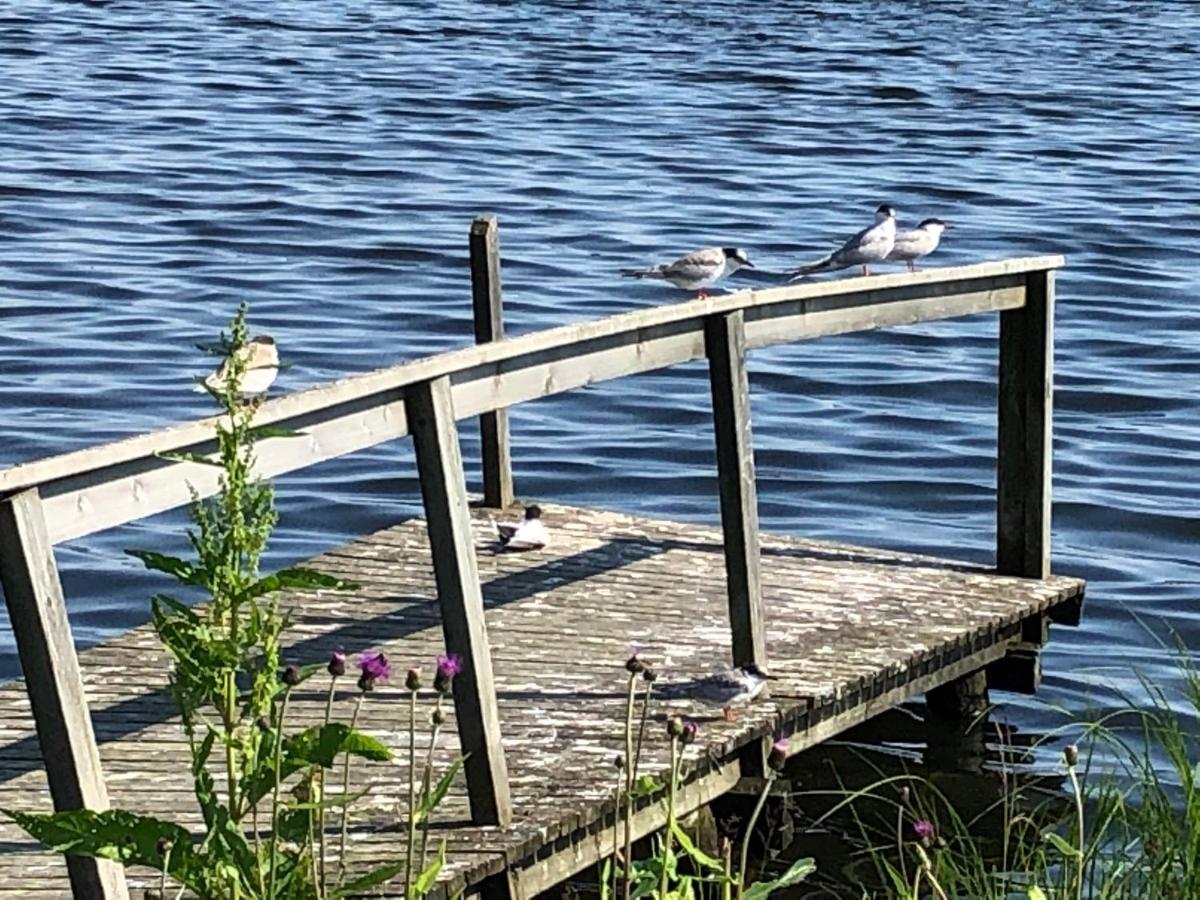 Hotelli Kultainen Joutsen Kuusamo Exteriör bild